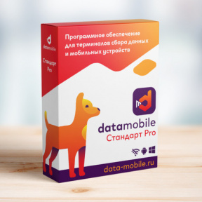 ПО DataMobile Стандарт Pro